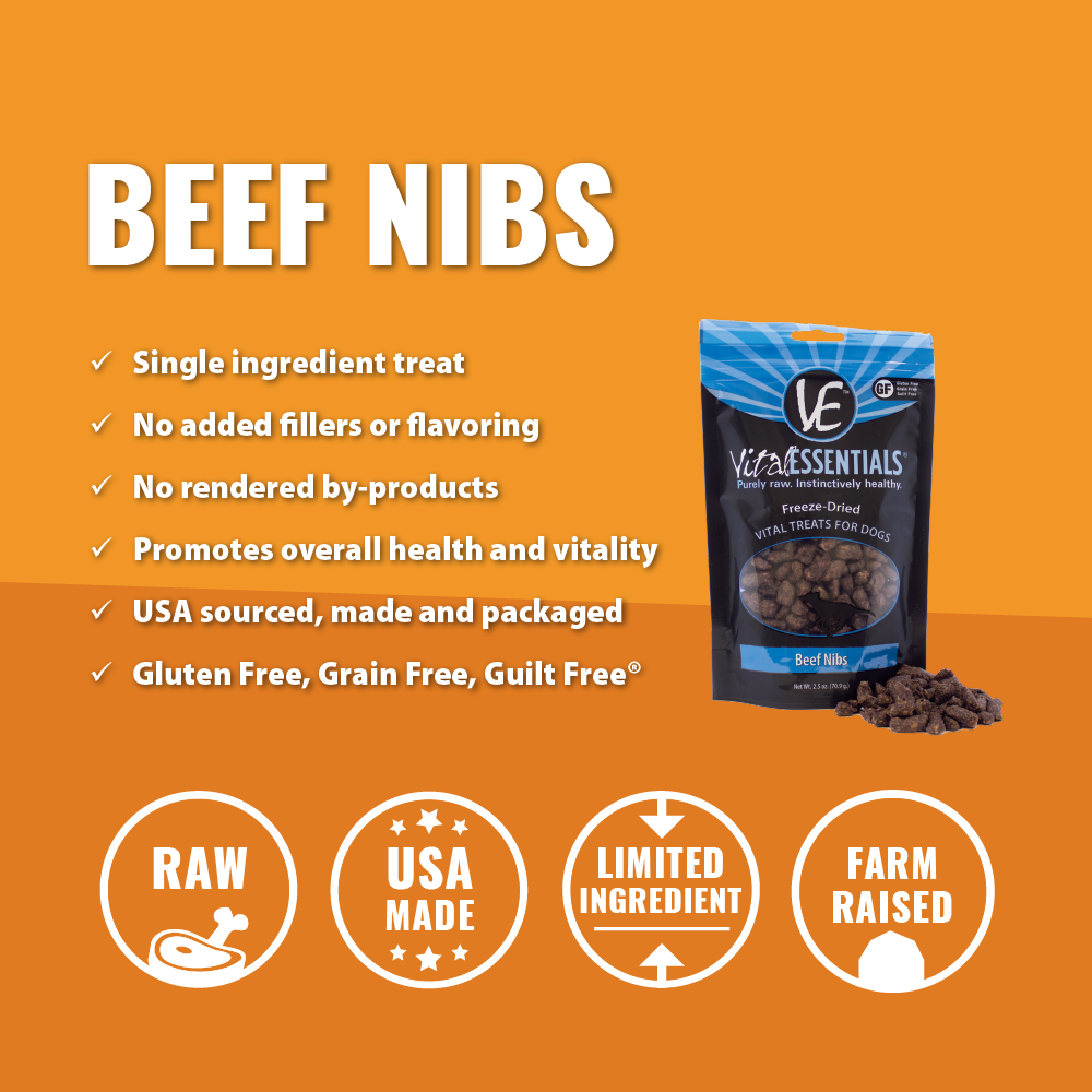 Vital Essentials Freeze Dried Beef Nibs Vital Treats for Dogs